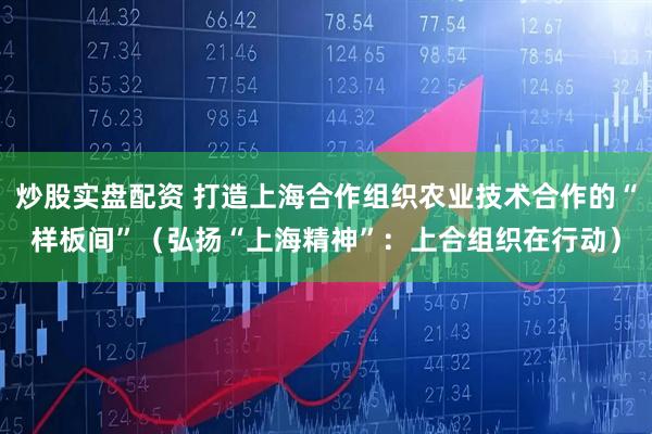 炒股实盘配资 打造上海合作组织农业技术合作的“样板间”（弘扬“上海精神”：上合组织在行动）